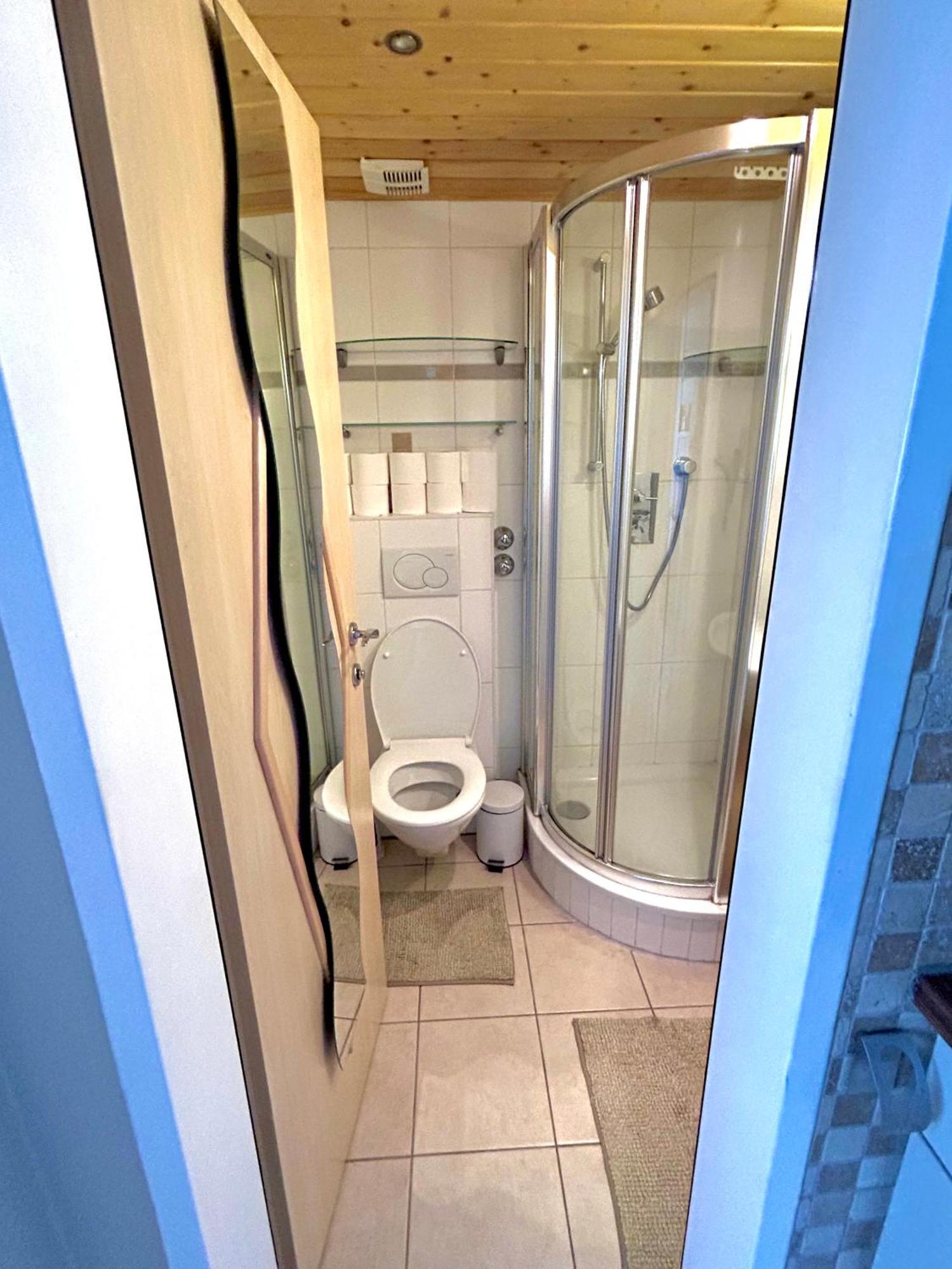 Alpine Apartment Schladming Mit Sauna Und Pool Ngoại thất bức ảnh
